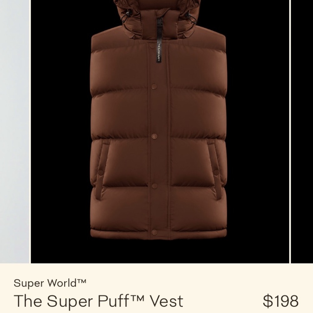 Aritzia puff vest